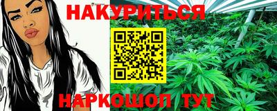СК Кингисепп