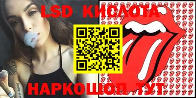 СК Кингисепп