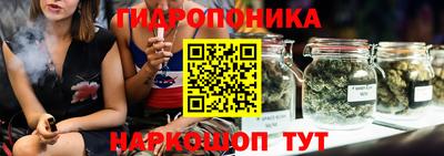 дурь Кимры