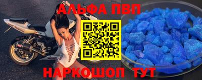 СК Кингисепп