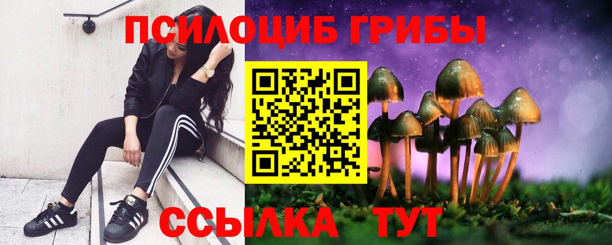 Псилоцибиновые грибы Кувандык