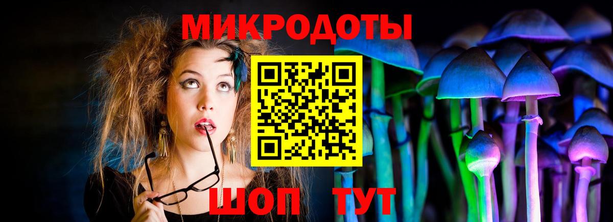 Кувандык  Галлюциногенные грибы Psilocybine cubensis  Галлюциногенные грибы Psilocybine cubensis  Вход с VPN 